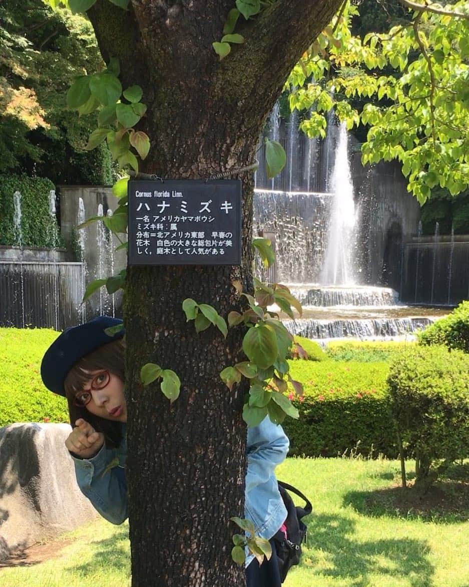 木部さんのインスタグラム