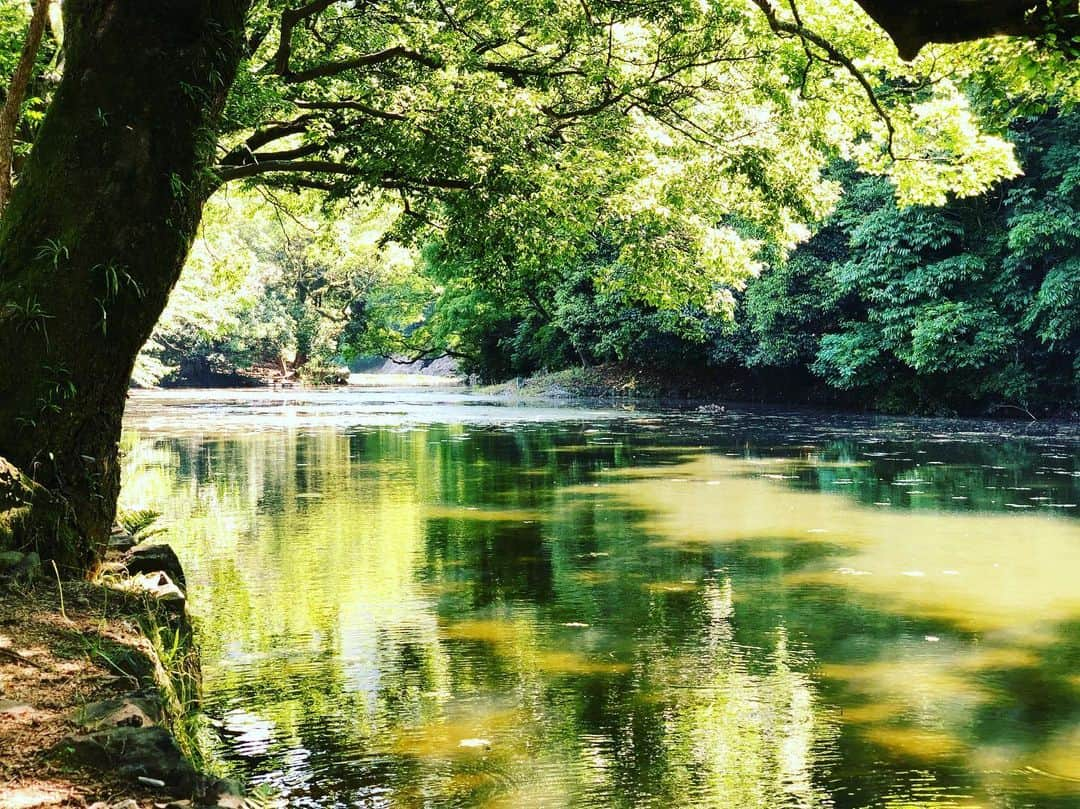 秋山真太郎さんのインスタグラム写真 - (秋山真太郎Instagram)「栗林公園✨🌱 #瀬戸内国際芸術祭#小豆島#香川#高松#栗林公園#日本庭園#特別名勝#bonsai#art#artexhibition#actor#bonsaiactor#film#featurefilm#movieproducer#scriptwriter#creator#novel#盆栽#俳優#脚本#映画プロデューサー#クリエイター#表現者#小説#映画#skateboard#skater」5月30日 20時24分 - shintaro_akiyama_official