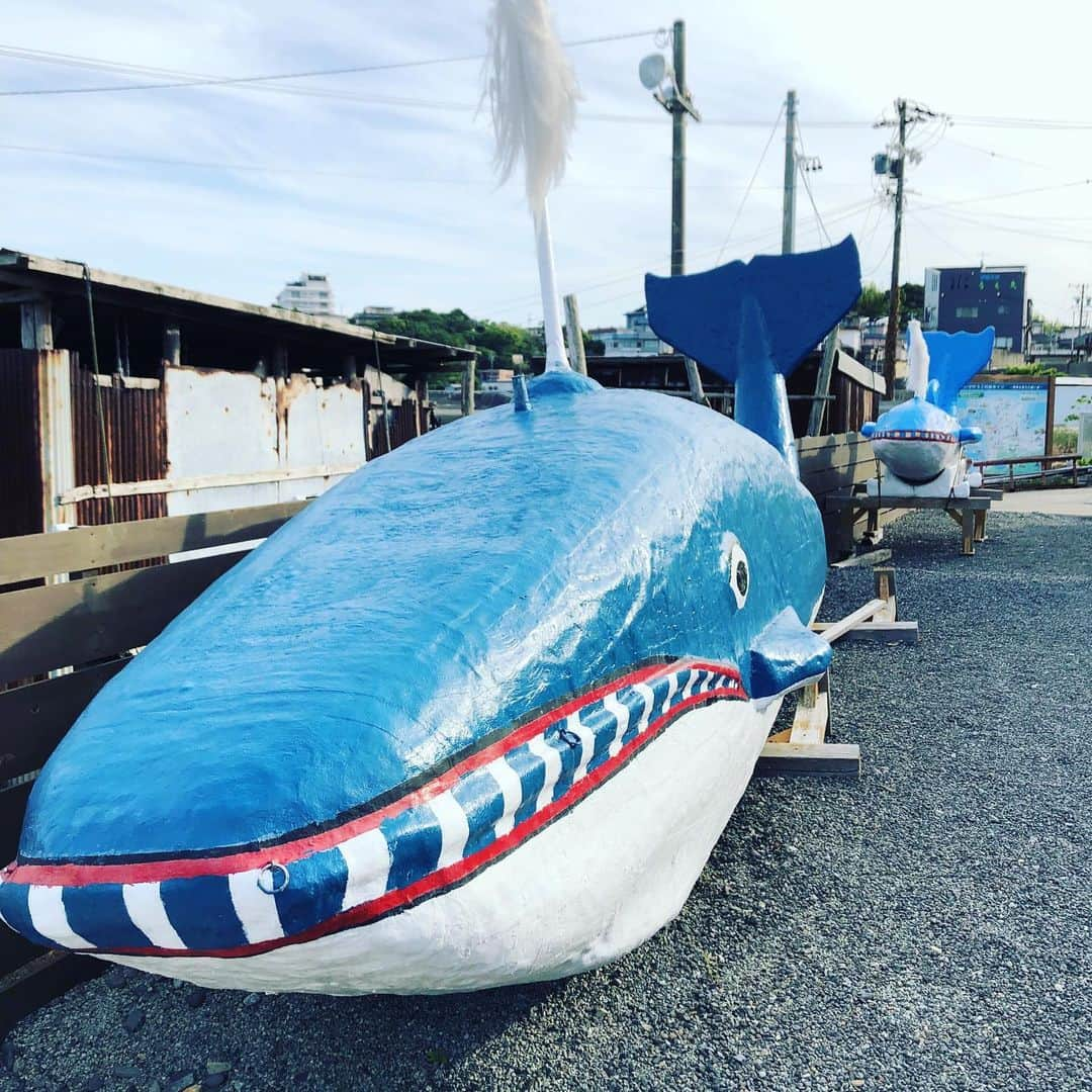 温泉むすめさんのインスタグラム写真 - (温泉むすめInstagram)「鳥羽温泉郷のある鳥羽市に来ています♨️ 海女さんが今でも活躍する海と共に生きる町、鳥羽。そんな鳥羽の歴史、文化を地元の方々に丁寧に教わり、地方の伝統文化がいかに興味深いかをあらためて実感しました🇯🇵 2000年の歴史を持つ海女AMAがフランス🇫🇷でも注目を集めているそうですよ！✨ #温泉むすめ #温むす #鳥羽温泉郷」5月30日 20時41分 - onsen_musume_jp