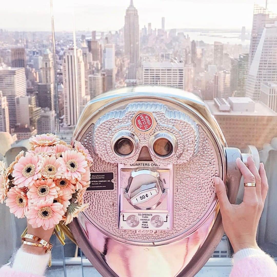 アリス&トリクシーのインスタグラム