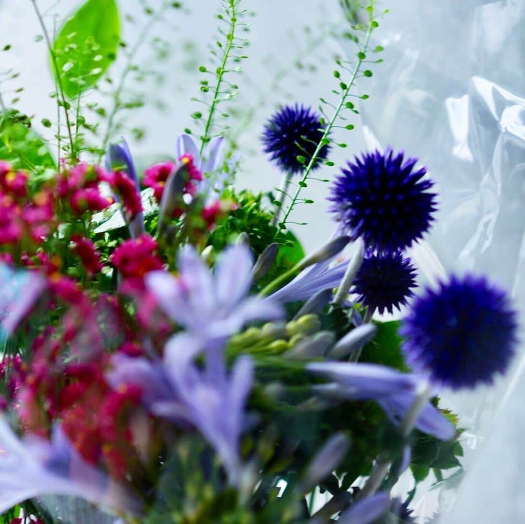前田有紀さんのインスタグラム写真 - (前田有紀Instagram)「子育てをしているお客様から、息子さんのお誕生日の花をご注文いただきました。青いお花を集めた小さな花束を。 . 息子さんは母の日でguiのお花を買ってくれたそうで、 「一本でもいいかなと思っていたけど、息子がguiのお花が好きなので」とわざわざご連絡をくださり、嬉しい気持ちで胸がいっぱいになった。 . 広い空間でたくさんお花を使う大きな装飾の仕事もとてもやりがいがあるしワクワクするけど、小さな男の子の手に渡ることを思い浮かべて束ねる小さなブーケも同じくらい特別。 幸せな気持ちでブーケを作れることの嬉しさ。素敵なご注文ありがとうございました。 . #gui #guiflower #flower #bouquet  #春の花 #移動花屋gui #移動花屋 #花の日 #flowerstagram #ウェディングブーケ  #ギフトフラワー #ドライフラワー #ドライフラワーのある暮らし」5月30日 21時15分 - yukimaeda0117