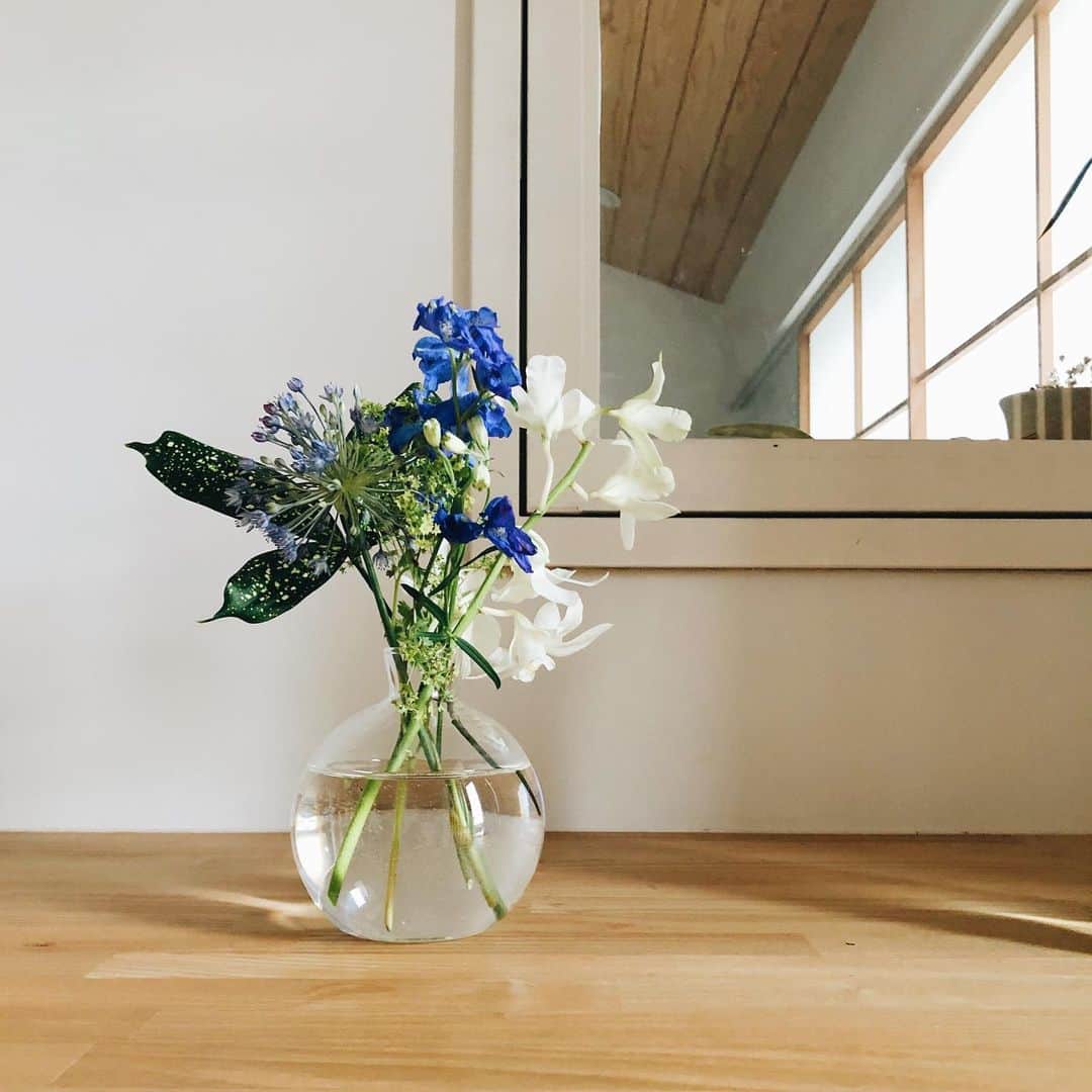 Takafumi Gotoのインスタグラム：「さわやかな青い花。明日で5月も終わり。 ----- FLOWER｜ https://flowr.is アプリで招待コードを利用すると、 ブーケプランが無料になるチケットが1枚増えます。 （招待コード：XFGQ）  #flower_is #お花のある暮らしはじめました」