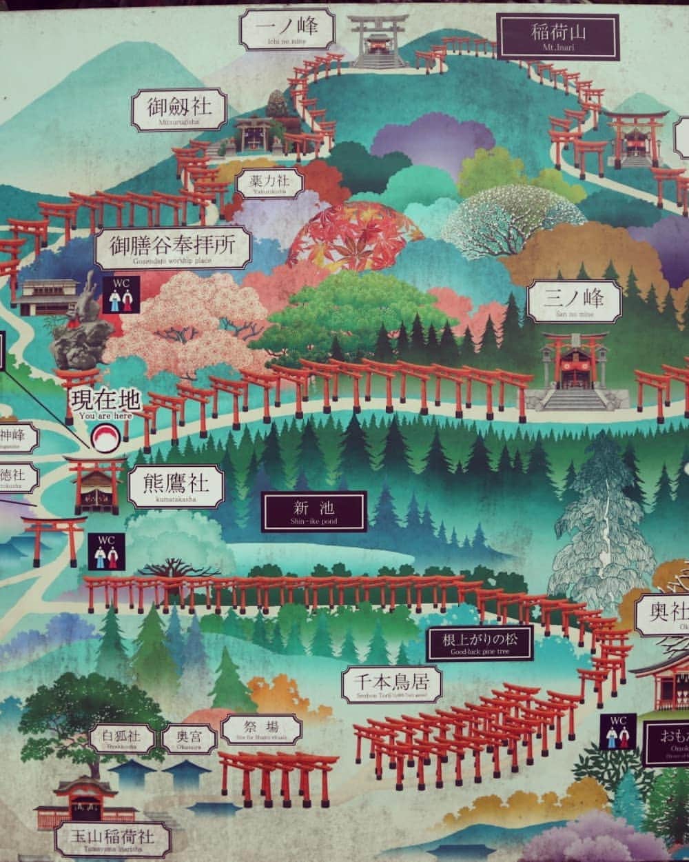 吉松育美さんのインスタグラム写真 - (吉松育美Instagram)「. I've never seen this many  #toriigate in my life...😮✨ . You'll see thousands of #torii here @fushimiinaritorii ✨✨✨✨ . Of course, this is another super popular #ig destination spot in #Kyoto 🇯🇵🇯🇵🇯🇵 . . ついに行けた😍 #伏見稲荷大社 ✨✨✨ このどこまでも続く真っ赤な #鳥居 に圧巻😮👏👏 . 半分までしか登れなかったけど次回は頂上まで行きたいなー❤ . . . #bestlocations #bestlocationever #epicpictures #photographyislifestyle #justshootit #kyotogram #tokyogram #Kyoto_Japan #japanphotos #japanphotograph #tokyosnap #kyototemples #kyotophoto #templephotography」5月30日 22時08分 - ikumiyoshimatsu