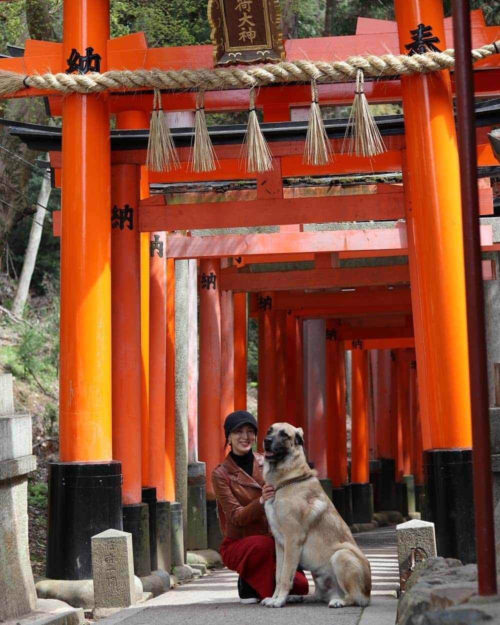 吉松育美さんのインスタグラム写真 - (吉松育美Instagram)「. I've never seen this many  #toriigate in my life...😮✨ . You'll see thousands of #torii here @fushimiinaritorii ✨✨✨✨ . Of course, this is another super popular #ig destination spot in #Kyoto 🇯🇵🇯🇵🇯🇵 . . ついに行けた😍 #伏見稲荷大社 ✨✨✨ このどこまでも続く真っ赤な #鳥居 に圧巻😮👏👏 . 半分までしか登れなかったけど次回は頂上まで行きたいなー❤ . . . #bestlocations #bestlocationever #epicpictures #photographyislifestyle #justshootit #kyotogram #tokyogram #Kyoto_Japan #japanphotos #japanphotograph #tokyosnap #kyototemples #kyotophoto #templephotography」5月30日 22時08分 - ikumiyoshimatsu