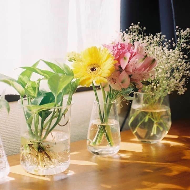 Bloomee LIFEさんのインスタグラム写真 - (Bloomee LIFEInstagram)「・ ジュースの空き瓶がいっぱいあったので小分けに飾ってみました🌱🌼🌿 ・ Special Thanks Photo by⠀ @keiithgram @kita_film_ ・ 空き瓶やグラスなど、身近にあるものでお花を生けてみると 飾り方の幅が広がって楽しいですよ♪ ・ #bloomeelife#ブルーミーライフ#花のある生活#花好きな人と繋がりたい#おうち時間#花部#花写真#花が好き#花を飾る#暮らしを楽しむ#日々の暮らし#丁寧な暮らし#日々#お花のある暮らし#ナチュラル#素敵な休日#暮らしを整える#くらしのきほん#日々の暮らしを楽しむ#丁寧に暮らす#ミニブーケ#フラワーアレンジメント#花瓶#フラワーベース#生活とフィルム#フィルム写真#初夏#ナチュラルな暮らし#ナチュラルインテリア#シンプルインテリア」5月30日 22時51分 - bloomee