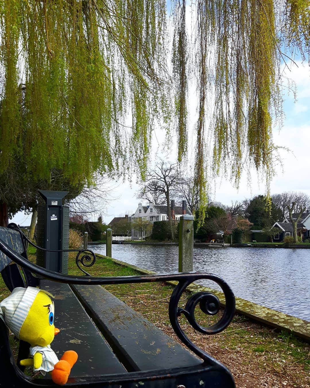 Little Yellow Birdさんのインスタグラム写真 - (Little Yellow BirdInstagram)「Back home and processing all the new impressions and experiences I had in South Korea... #littleyellowbird #tweety #tweetykweelapis #adventures #yellow #bird #backhome #home #homesweethome #netherlands #loenenaandevecht #bench #river #riverview #vecht #bluesky #memories #contemplating #stuffedanimalsofinstagram #plushiesofinstagram」5月30日 22時53分 - tweetykweelapis