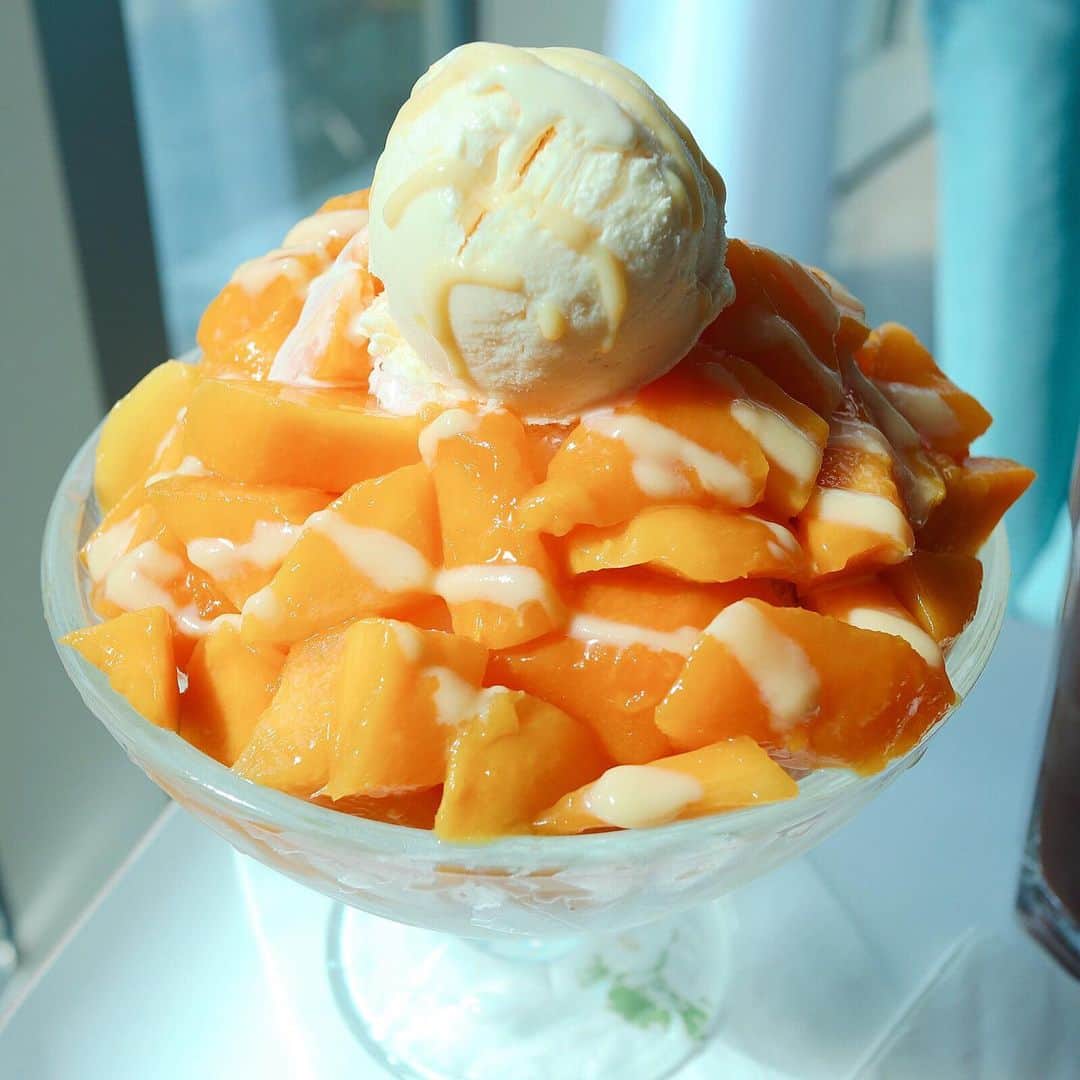 瀧田彩のインスタグラム：「済州産のアップルマンゴーピンス😋🥭✨✨﻿﻿ ﻿﻿ 上に乗ってるアイスクリームもマンゴー🍨﻿﻿ 香り高くて美味しかった！！﻿ ﻿﻿ 韓国のビールメーカーhiteが出してるマンゴービールもハマってしまい二日連続で飲んじゃいました🍻🏝﻿﻿ ﻿﻿ #애플망고 #アップルマンゴー #망고빙수 #マンゴーかき氷 #hite #mangolingo #マンゴービール #제주도 #jeju #済州 #済州島 #제주도여행 #제주도맛집 #제주카페 #チェジュ島旅行 #済州島旅行 #チェジュカフェ#チェジュ島行きたい」
