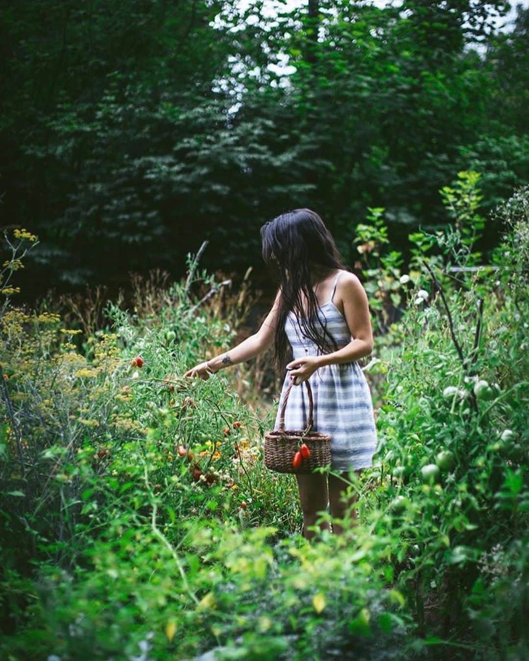 FOLKさんのインスタグラム写真 - (FOLKInstagram)「Is it just me or does today feel like a Friday? Am I the only one dreaming of weekend adventures? Exploring the wilderness, smalltowns, and discovering lands unknown? Today’s favorites are: 1) @giuliogroebert 2) @evakosmasflores 3) @allanpuls 4) @thesamgraves 5) @jordanherschel 6) @jessolm」5月30日 23時12分 - folkmagazine