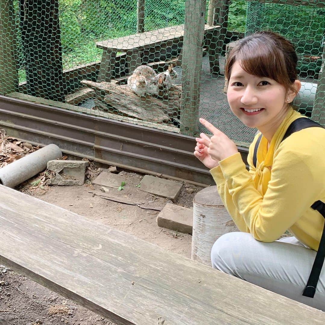 稲葉千秋さんのインスタグラム写真 - (稲葉千秋Instagram)「特集・湯けむりロケで十和田市へ行ってきましたー！温泉周辺スポットの紹介ではウサギの赤ちゃんたちと触れ合い😆💓 あぁ、なんたる可愛さ… その場から離れられなくなりました… 青森での放送日は決まり次第お知らせします🎵 #十和田市 #鯉艸郷  #うさぎの赤ちゃん #えさやり  #ピーターラビット #もふもふ  #悶絶 #可愛すぎる 再投稿しました！いいねしてくださった方はすみません…💦」5月30日 23時28分 - chakey_15