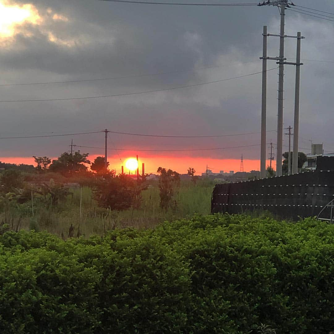 澤山璃奈さんのインスタグラム写真 - (澤山璃奈Instagram)「#Okinawa 🌺 📸1.2枚目は #青の洞窟 💙 スポットライトみたいに一筋だけ差し込む光がとても美しくて感激😭✨ 世界中のダイバーが訪れる場所だそうです🐠 📸3枚目は黄金に光る夕日🌇 たった何分間かの間だけみれた奇跡的な景色🌋 地元の方でもなかなか見る事が出来ないんだって…🙏✨ 📸4枚目は #樹齢250年のガジュマル 🌳 ガジュマルって観葉植物のイメージだったのでこんなに大きくなる木だとしらなくてビックリ🤣‼️ 沖縄は空も海も緑も元気でした🌿🌺 📸5枚目は #ミニパイン 🍍🧡 何か沖縄の物を持って帰りたいなと思い自分のおみやげにこれ買って合流したらなぜか友達に笑われました🤢 最初はお水だけで、何ヶ月かしたら上の部分だけ植えればずっと育ってくれるみたい❤️ ちなみに右と後ろのが我が家のガジュマルちゃんです😍！！ 4枚目のガジュマルと同じ木とは思えない…😂🌳🌳🌳 ❤︎ ❤︎ 今日インスタライブ来てくれたみんなありがとうございました💖❤️🧡 楽しかったね〜💕🥰 なぜかカタコトだし話すぐ飛ぶし🤣笑 全部のコメントにお返事出来なくてごめんなさい🤢💦 今後youtubeなのか他の配信なのかはもうちょっと考えてみるけど、やっぱりリアルタイムで普段応援してくれてるみんなとなんかお話ししてるみたいでとっても嬉しかったです🥺💖 会ったことある方は顔が浮かんだよ💋🎦 照れくさいけど見れなかった方もいたと思うので保存しておきました🙈💦！ またトレーニングやストレッチ、 コスメやスキンケアの事も話していけたら良いかなと思ってます👟💄♡ #沖縄 #Okinawa #vitamincolor #pualani #longhair #bikinigirl #bikinilover #mermaid #氷の上のマーメイド #水着 #fitnessgirl #beachgirl #Schnorchel #シュノーケリング #真栄田岬 #真栄田岬青の洞窟 #ガジュマル #キムジナー #すっぴん #nomakeup」5月30日 23時38分 - rinasawayama