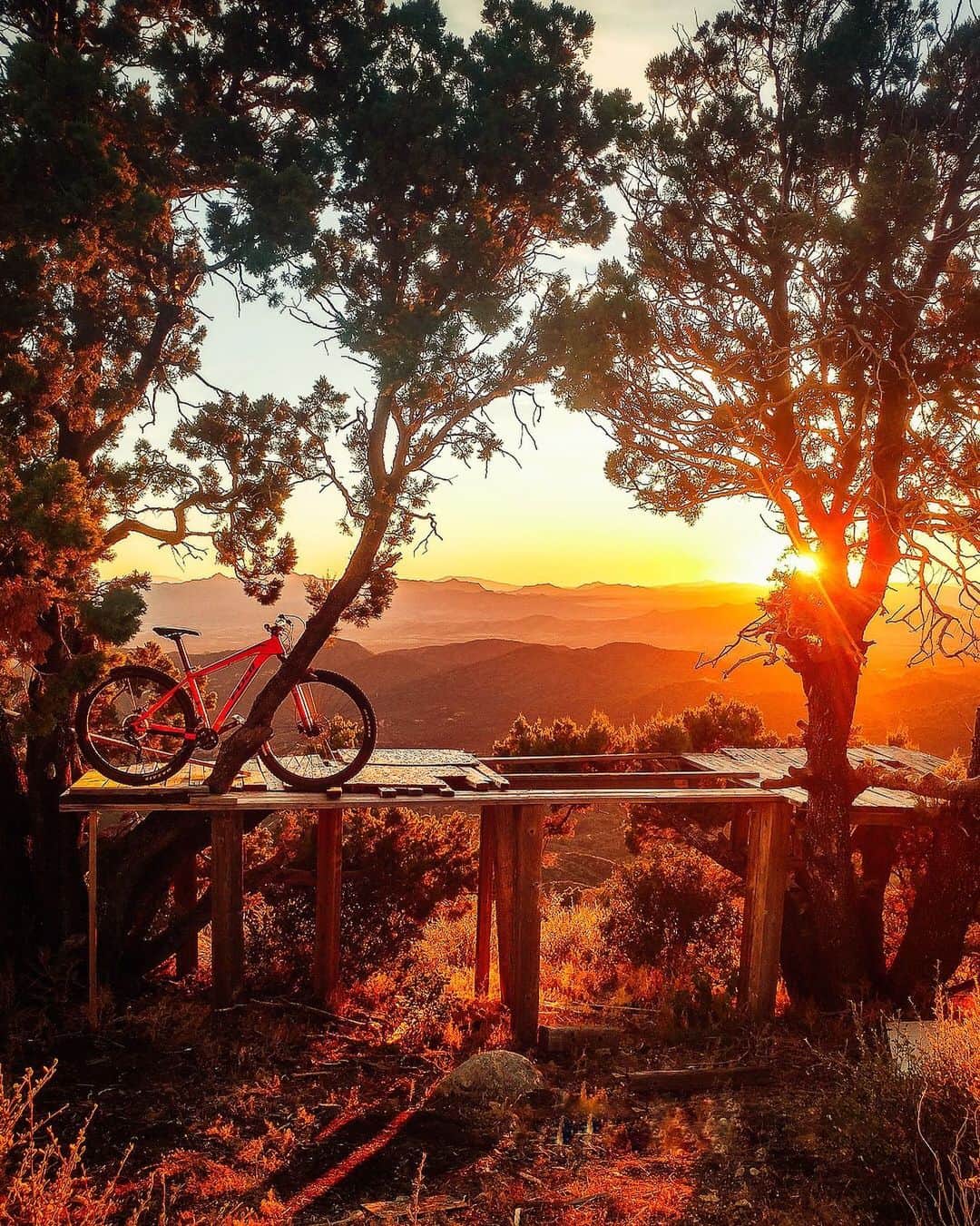 Fuji Bikesのインスタグラム