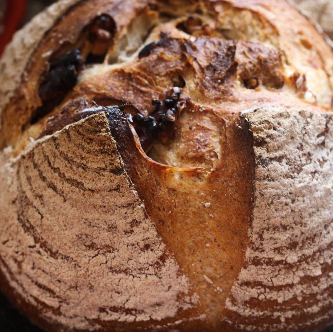 魔女菅原のグルメインスタ