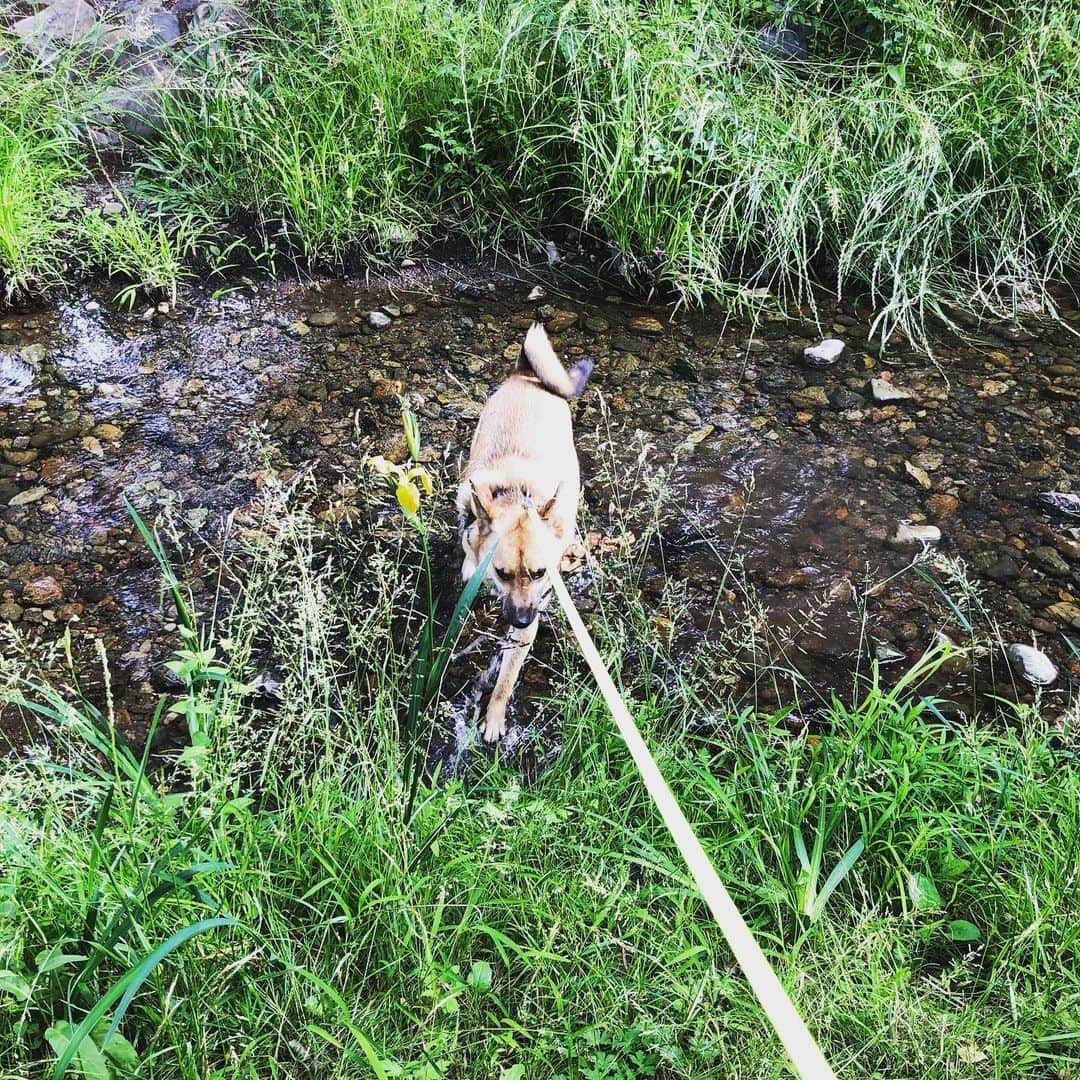 佐々木海のインスタグラム