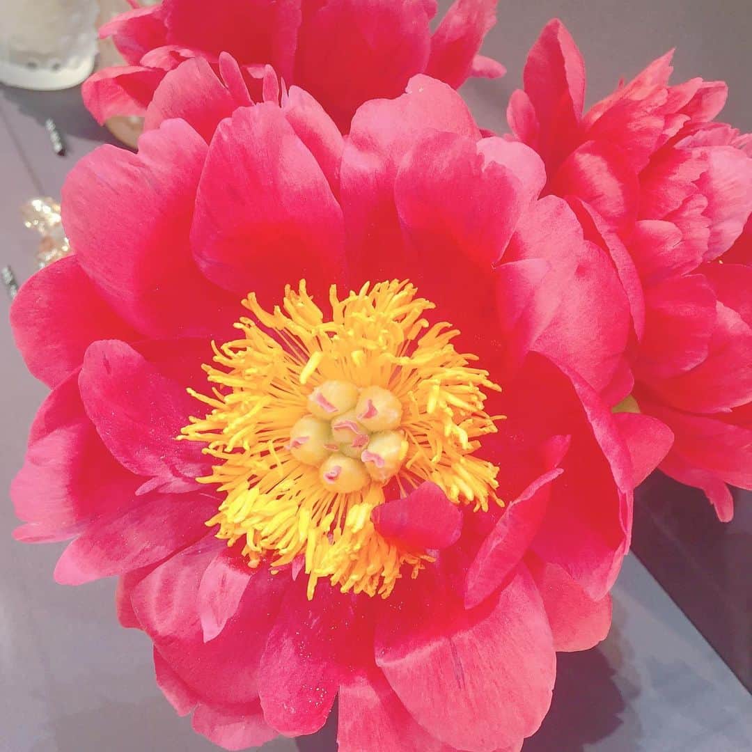 中村かなさんのインスタグラム写真 - (中村かなInstagram)「5/31に名鉄百貨店1FにOPENする 名古屋初出店の 🌸🌸 @lalique @lalique_japan さんのレセプションにお邪魔してきました🥂✨ ： ステキなアクセサリーやフレグランス、食器類にワインまで🍹 お花もたくさんで💐 キラキラの店内✨ 女の子はみんなウキウキします💕 ： レセプションはステキな大人の女性ばかりで👸 名古屋にもこんなにステキな方がたくさんいたのね🥂ときゅん💓 私のような小娘にもご丁寧に接してくださる社長さんもステキでした👨🏻✨ ： いつもお声がけくださってありがとうございます👨‍🏫 @dj_kanbe ： 美貌と優しさをありがとうございます👸💕 @ayano0121 ： ： ： ： ： #今日も素敵な一日をありがとうございました #いつもありがとうございます  #名古屋いいとこだよ #名古屋 #名古屋駅 #名鉄百貨店  #ラリック #lalique  #おしゃれさんと繋がりたい  #美容好きな人と繋がりたい  #コスメ好きさんと繋がりたい  #nagoya #japan #japanesegirl」5月31日 2時26分 - k777pime