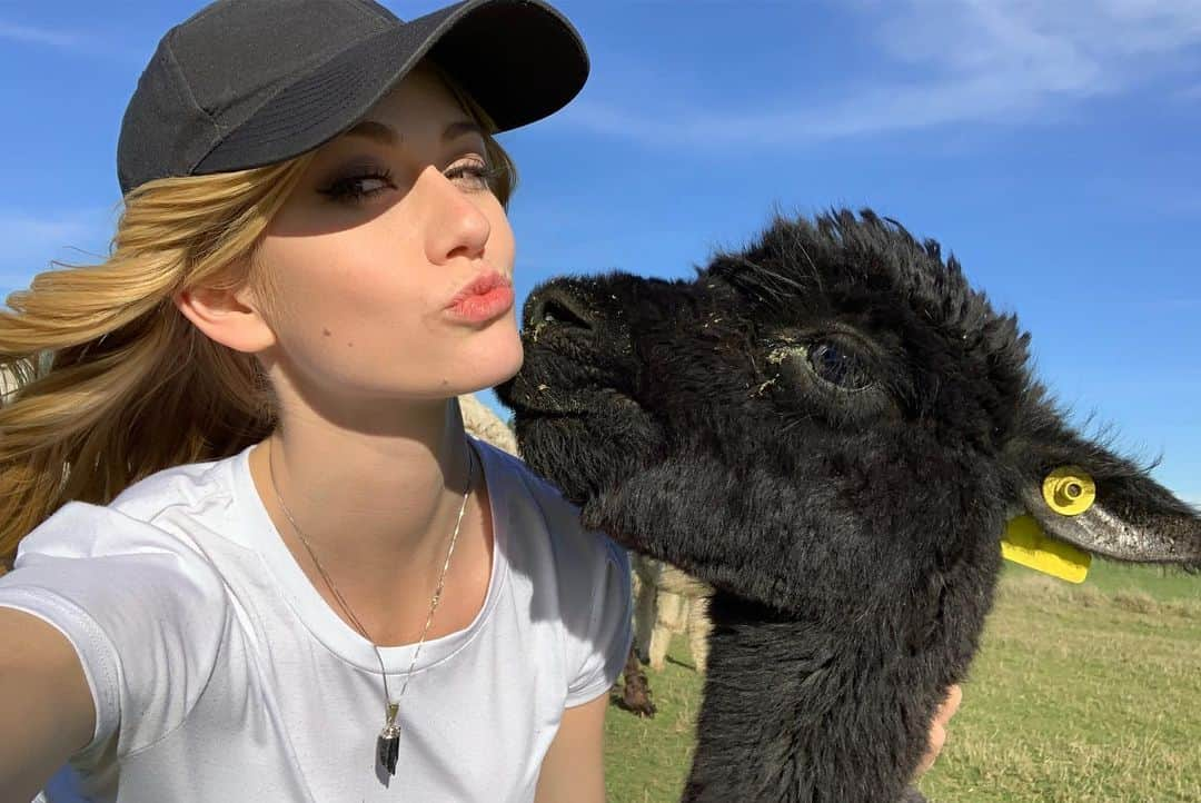 キャサリン・マクナマラさんのインスタグラム写真 - (キャサリン・マクナマラInstagram)「Find me where the wild things are...🦙♥️ 🇳🇿 #NewZealand #‪SherlinAlpacas‬ 📷: @chelsealaurenla」5月31日 3時07分 - kat.mcnamara