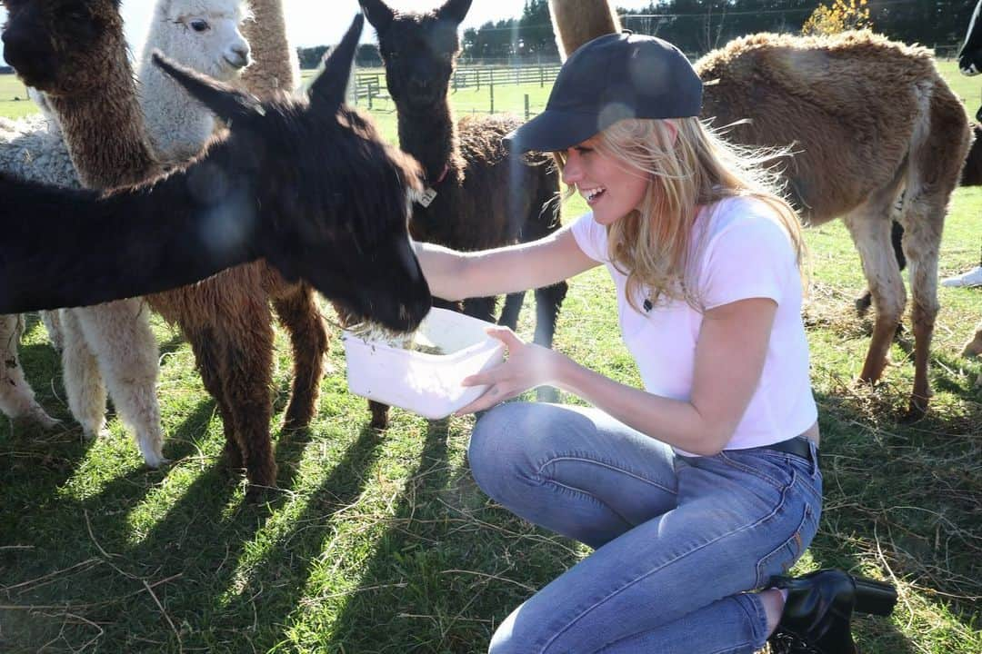 キャサリン・マクナマラさんのインスタグラム写真 - (キャサリン・マクナマラInstagram)「Find me where the wild things are...🦙♥️ 🇳🇿 #NewZealand #‪SherlinAlpacas‬ 📷: @chelsealaurenla」5月31日 3時07分 - kat.mcnamara