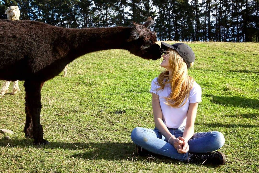 キャサリン・マクナマラさんのインスタグラム写真 - (キャサリン・マクナマラInstagram)「Find me where the wild things are...🦙♥️ 🇳🇿 #NewZealand #‪SherlinAlpacas‬ 📷: @chelsealaurenla」5月31日 3時07分 - kat.mcnamara