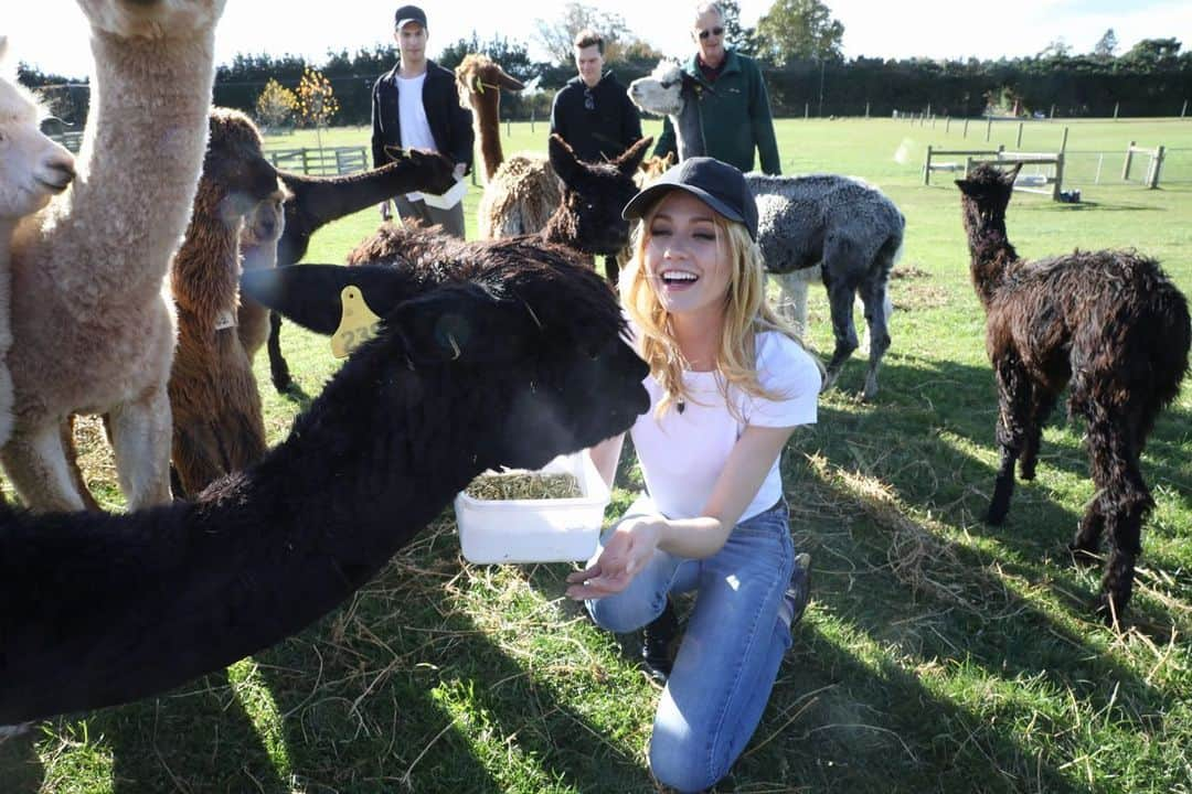 キャサリン・マクナマラさんのインスタグラム写真 - (キャサリン・マクナマラInstagram)「Find me where the wild things are...🦙♥️ 🇳🇿 #NewZealand #‪SherlinAlpacas‬ 📷: @chelsealaurenla」5月31日 3時07分 - kat.mcnamara