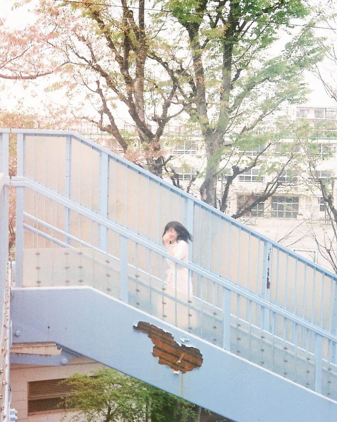 常住真菜のインスタグラム：「シラカワちゃんの世界観ほんとすき オススメだよ @srkw_andy_2 . #portrait」
