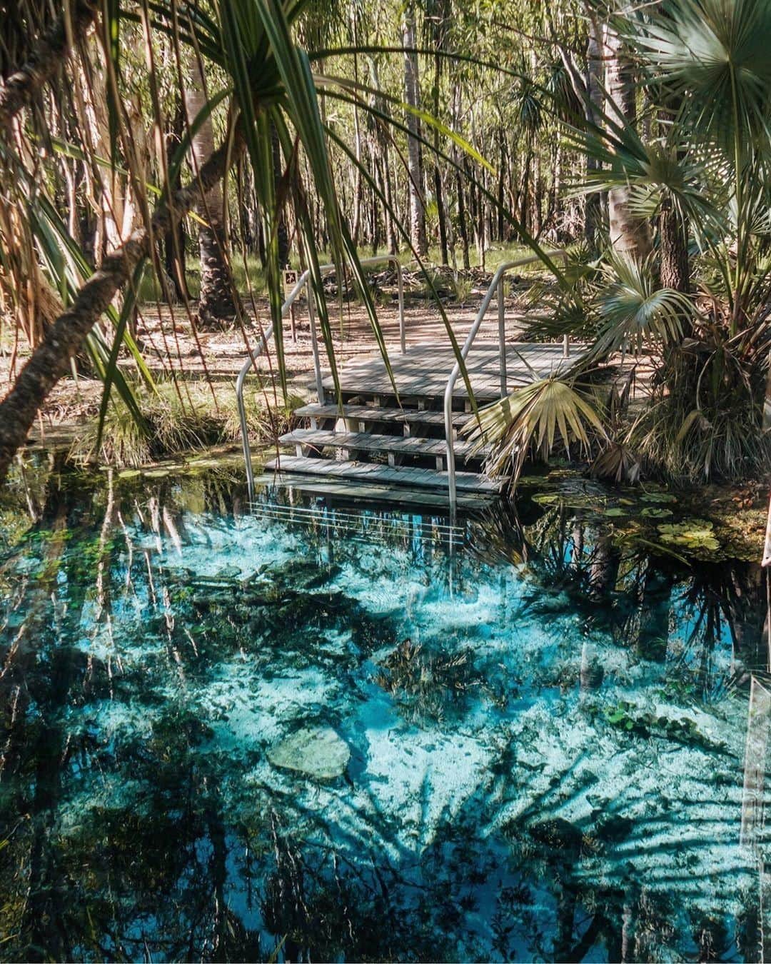 Australiaさんのインスタグラム写真 - (AustraliaInstagram)「Who could say no to such inviting steps? Not us, that’s for sure! 💙 @scottypass discovered that “@ntaustralia was full of little surprises,” like this serene thermal pool at #BitterSprings. Located inside @tourismtopend’s #ElseyNationalPark, it’s a 4.5-hour drive from #Darwin, which makes it the perfect spot to relax and unwind after your road trip. You can stay at the #Mataranka cabins and camping accommodation onsite, or drive into town and spend the night in a motel. TIP from the @ausoutbacknt experts: bring a swimming noodle as the soft current will gently take you downstream where there’s a ladder so you can hop out and do it all again!  #seeaustralia #NTAustralia #tourismtopend #nature #adventure」5月31日 4時00分 - australia