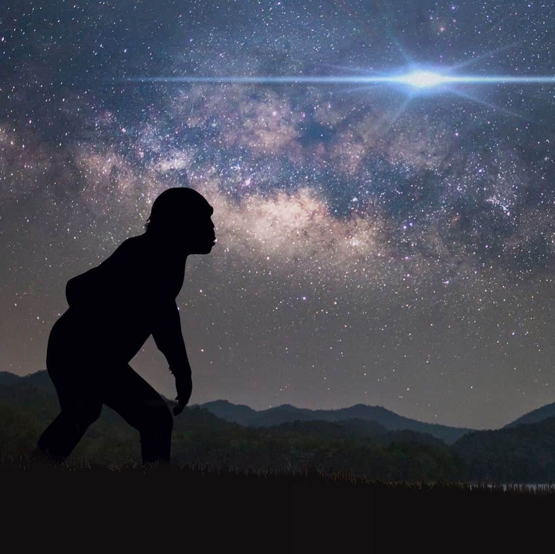 NBC Newsさんのインスタグラム写真 - (NBC NewsInstagram)「Ancient star explosions could have led early humans to walk upright, scientists say. Click the link in our bio to read more. . 🖌 Adrian Lam / @nbcnews / @gettyimages」5月31日 4時26分 - nbcnews