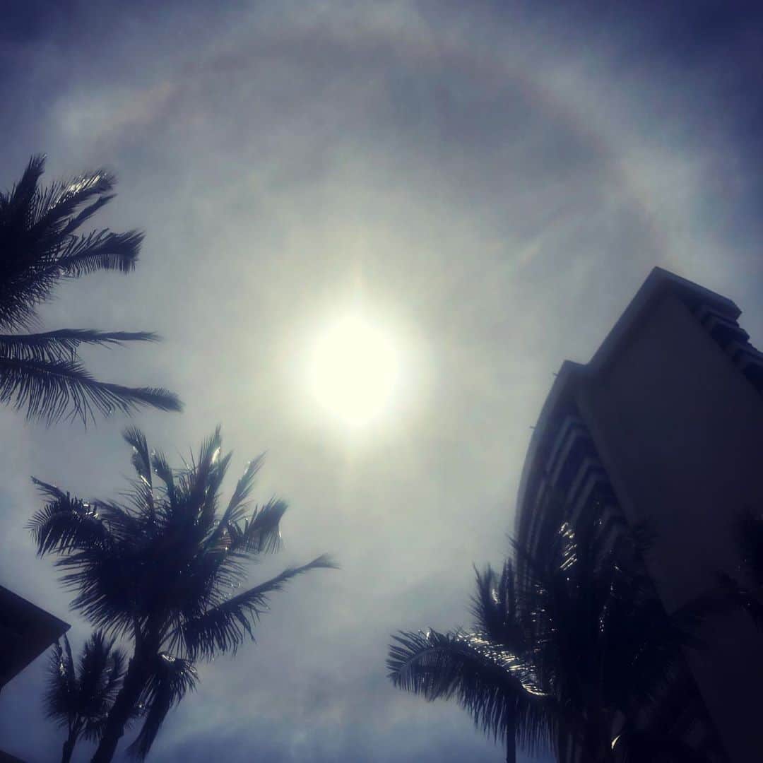 高橋リタさんのインスタグラム写真 - (高橋リタInstagram)「halo☀️🌈 毎日お天気がよくて虹が見られないなーと思ってたらハロが出たよ。#halo #hawaii2019®️」5月31日 4時35分 - jojopon