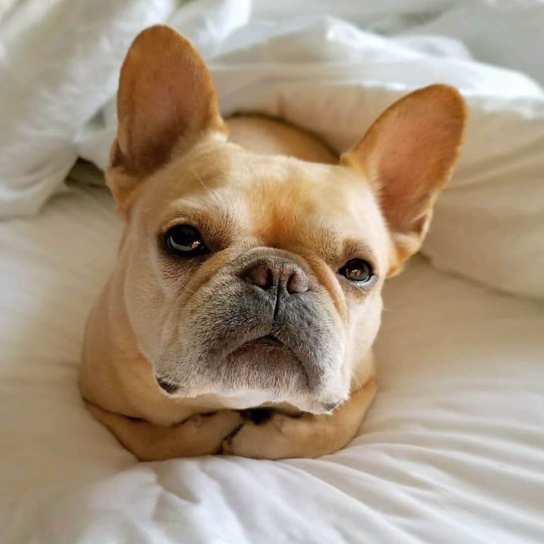 Hamlinのインスタグラム：「Patiently waiting here for the weekend to start... 😌 #tbt .......... #isitfridayyet #waiting」