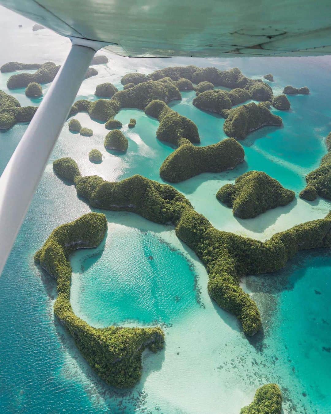 Wonderful Placesさんのインスタグラム写真 - (Wonderful PlacesInstagram)「Palau - Micronesia ✨💚💚💚✨ Pictures by ✨@savethereef✨ go follow this new charity that aims to save coral reefs, marine life and the oceans as they donate to environmental charities all over the world while spreading awareness about this urgent issue before it’s too late in a few years!」5月31日 5時36分 - wonderful_places