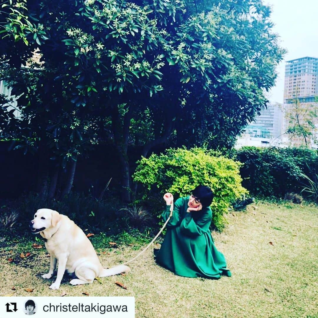 田中杏子さんのインスタグラム写真 - (田中杏子Instagram)「クリステル、ありがとう💕🙇 #Repost @christeltakigawa with @get_repost ・・・ 昨日はテニス選手のアリス。 今日は我が家のアリス😊 雑誌Numero TOKYO 7.8月合併号、 アリスと掲載されています^_^ 5月28日発売です。 是非読んでみてくださいね。 #家族の肖像#magazine#元保護犬#アリス#interview #篠山紀信」5月31日 6時53分 - akoakotanaka