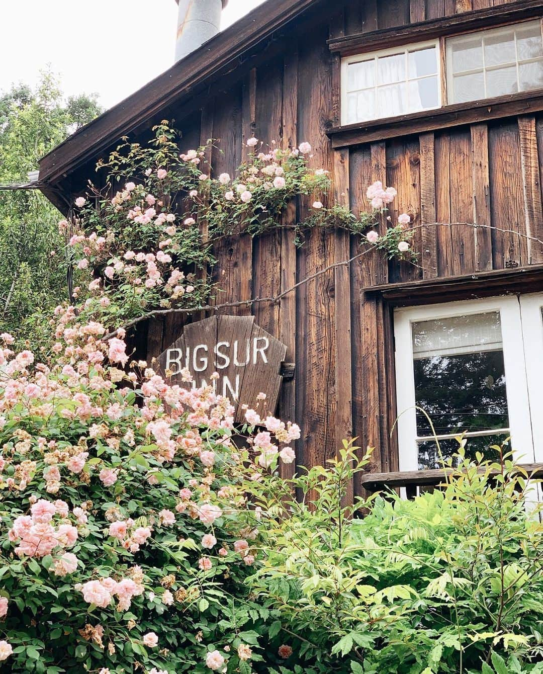 メリル・デイヴィスさんのインスタグラム写真 - (メリル・デイヴィスInstagram)「Big Sur • perfect place to quiet the noise, escape into the trees, gain some perspective & be reminded that life doesn’t always have to move at such a rapid pace. Fedor & I have been wanting to visit Big Sur for years & this beautiful locale certainly didn’t disappoint. My favorite part of the trip, though: The 6 hour drive from LA. Driving up the coast with music on, windows down & nothing but fields & coastline was truly magical. Something tells me this won’t be our last #pch road trip/adventure... 🚗✨」5月31日 7時21分 - meryledavis