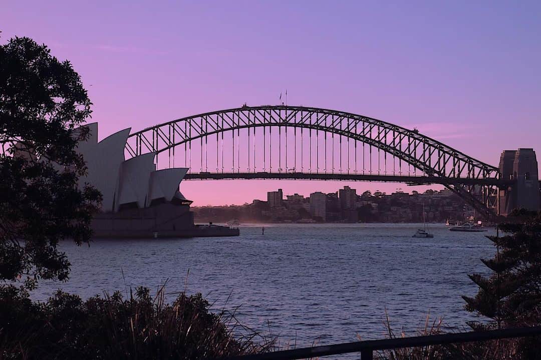 アンドリュー・ドッズさんのインスタグラム写真 - (アンドリュー・ドッズInstagram)「No purple rain, just a violet coloured sky 💜💁🏼‍♀️🎆🍆 #sydney #royalbotanicgardens #operahouse #harbourbridge #purple #sky #violet」5月31日 9時14分 - andrew_dodds