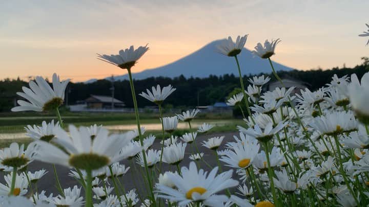phantastic420のインスタグラム：「. 🤩🤩“Shizuoka” prefecture in Japan is a place where you can see the most “phantastic” Mt. Fuji🗻 in the world.🤩 #富士山 #mtfuji #japan #shizuoka #fujinomiya  #phantastic420photography #mostphantasticmtfuji #selamatpagi  #goodmorning  #おはようございます 😇😇😇😇😇😇😇🗻😇😇 今日は西へ向かっております💨」
