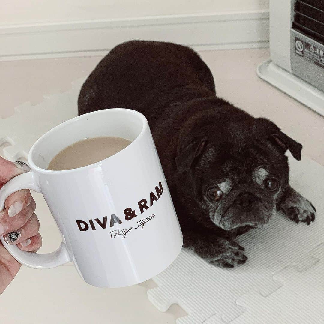畑中奈緒美さんのインスタグラム写真 - (畑中奈緒美Instagram)「・ このマグカップで飲むコーヒーは一段と美味しく感じる🤤🖤 @divaandram・ ・ 裏面にはDIVA&RAMのNEWアイコン🐕🐕💕 さ‼︎今日も一日元気にスタート🤗・ ・ #DIVAandRAM #coffee #ディーヴァアンドラム」5月31日 9時14分 - hatanaka_naomi