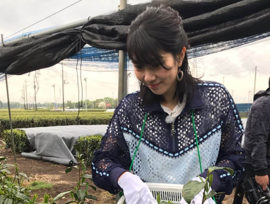 潮田玲子さんのインスタグラム写真 - (潮田玲子Instagram)「ごはんジャパンにて 埼玉県入間市で栽培されている特別な日本茶と、それを使ってツオップオーナーシェフの伊原靖友さんがパンを作られました😍🙌 匠と匠の素晴らしい出会いをお見逃しなく🤩💓🥐🍵 明日6月1日土曜日、 18時30分〜ごはんジャパン テレビ朝日にて放送です！  #ごはんジャパン #埼玉県入間市 #日本茶 #パン作り #感動の連続 #ちなみに明日 #めざましどようび #出演予定です #こちらも是非 #チェックしてください」5月31日 20時04分 - reikoshiota_official