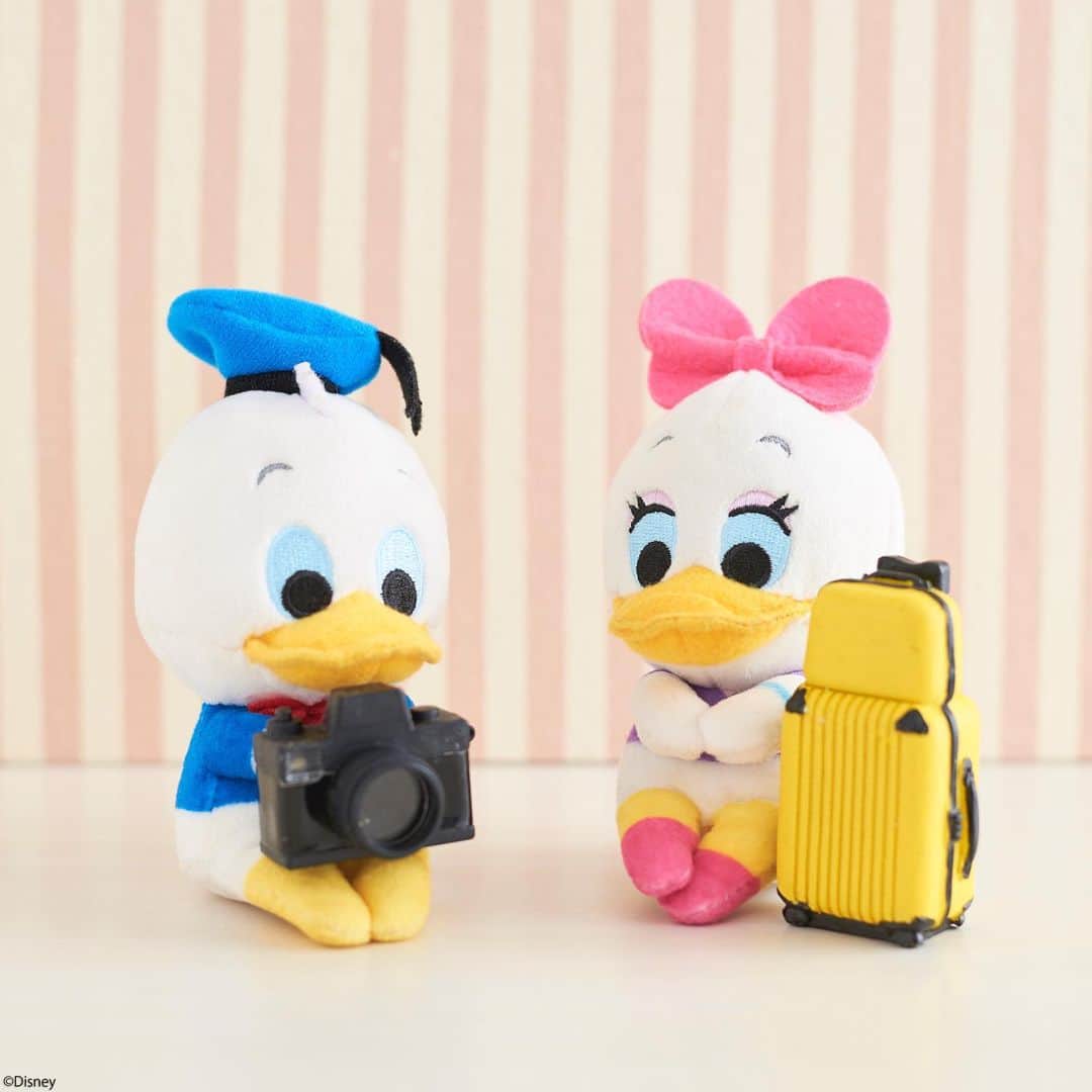 ちょっこりさん【公式】のインスタグラム：「#20190531 * あれ、カメラの使い方が分からないぞ。 * 大丈夫かな～ ドナルド、しっかり撮ってよ～ * #ちょっこりさん #ディズニー#ディズニーグッズ #ぬい撮り#ぬいぐるみ #chokkorisan#disney #takaratomyarts #ぬいぐるみと撮り隊 #disney写真部 #ディズニーグッズ #ちょっこりさん好きな人とつながりたい」