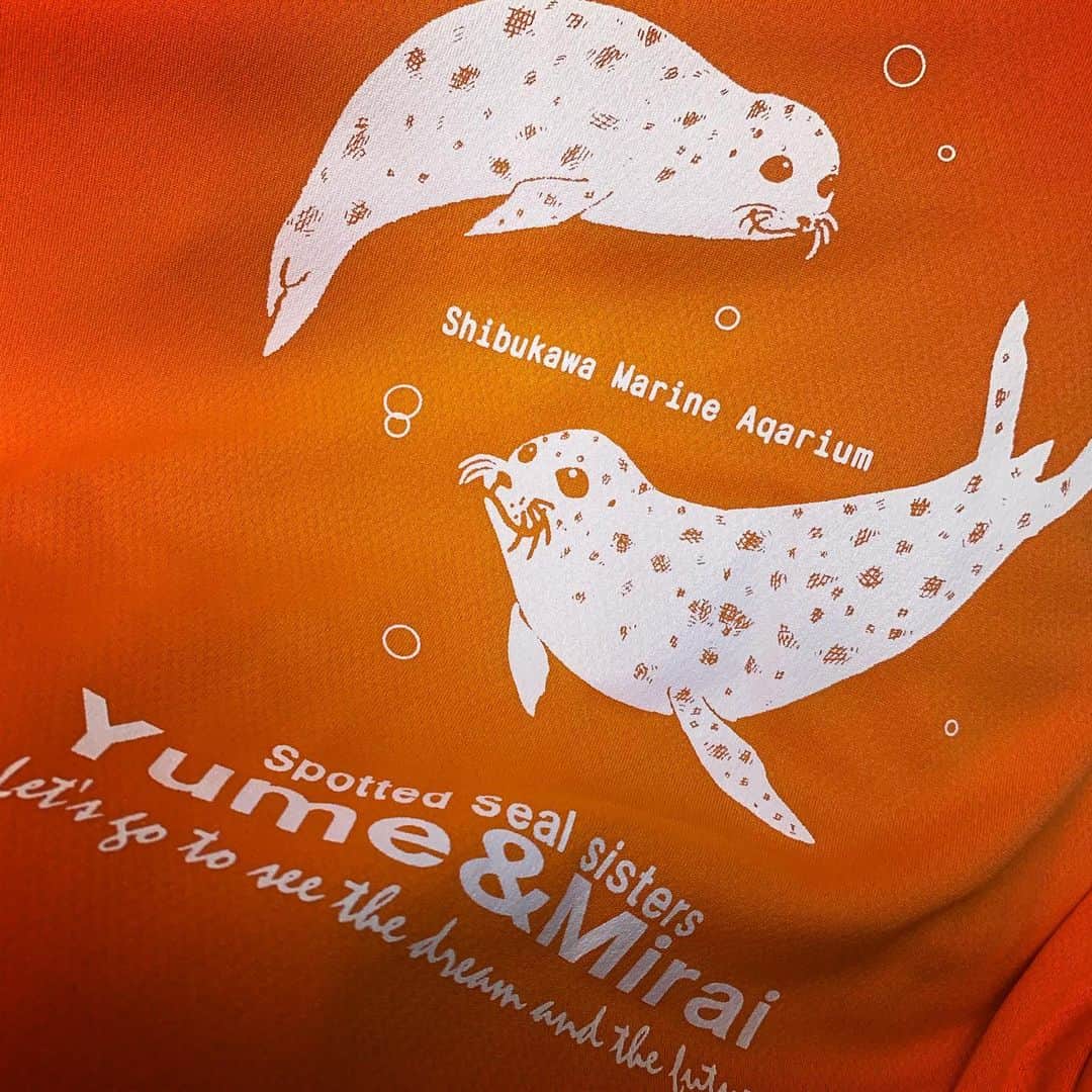 佐久間一行さんのインスタグラム写真 - (佐久間一行Instagram)「渋川マリン水族館に行ってきました！！！ 楽しすぎて、嬉しすぎて、自分お土産にTシャツも〜 ここの様子はまたどこかで少しずつ伝えられればと思います！！ 6月11日もつたわれ〜♪ #渋川マリン水族館 #瀬戸内海国立公園 #渋川海岸 #佐久間一行 #岡山 #岡山県 #玉野市 #特任ディレクター」5月31日 19時47分 - sakuzari