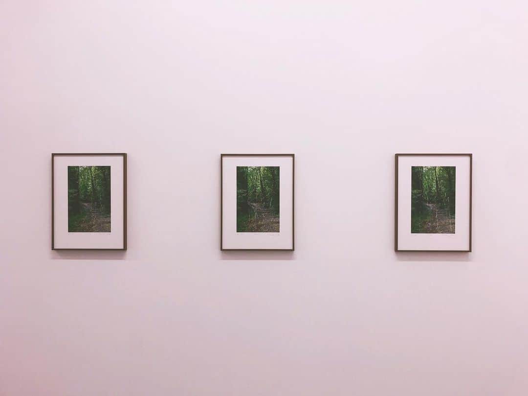 秦まり子さんのインスタグラム写真 - (秦まり子Instagram)「Gerhard Richter "PATH"」5月31日 19時54分 - marikohata_