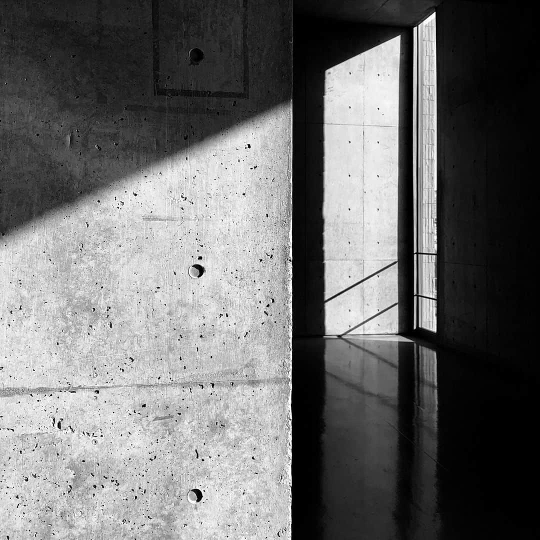 naotakeのインスタグラム：「斜光 - Slanting rays / iPhone XR + Snapseed, 20190601 . . iPhoneによると今月は200キロ以上歩いていた。問題はそこで消費した以上にものを食べたという事実だ。 . . #royalsnappingartists #infamous_family #rsa_main #infinity_photo_cult #2_fineart #jp_gallery #jp_gallery_bnw #trb_bnw #wp_bnw  #bnw_life #bnwlife_member #bnw_life_shots #bnw_captures #world_bnw #top_bnw #team_jp_ #team_jp_モノクロ #ig_energy_bw #ig_nihon #streetphotographybnw #igersjp #blackandwhite #bnw #bnwphoto #monochrome #bw #bnwphotography #ShotOniPhone #shotoniphoneXR」