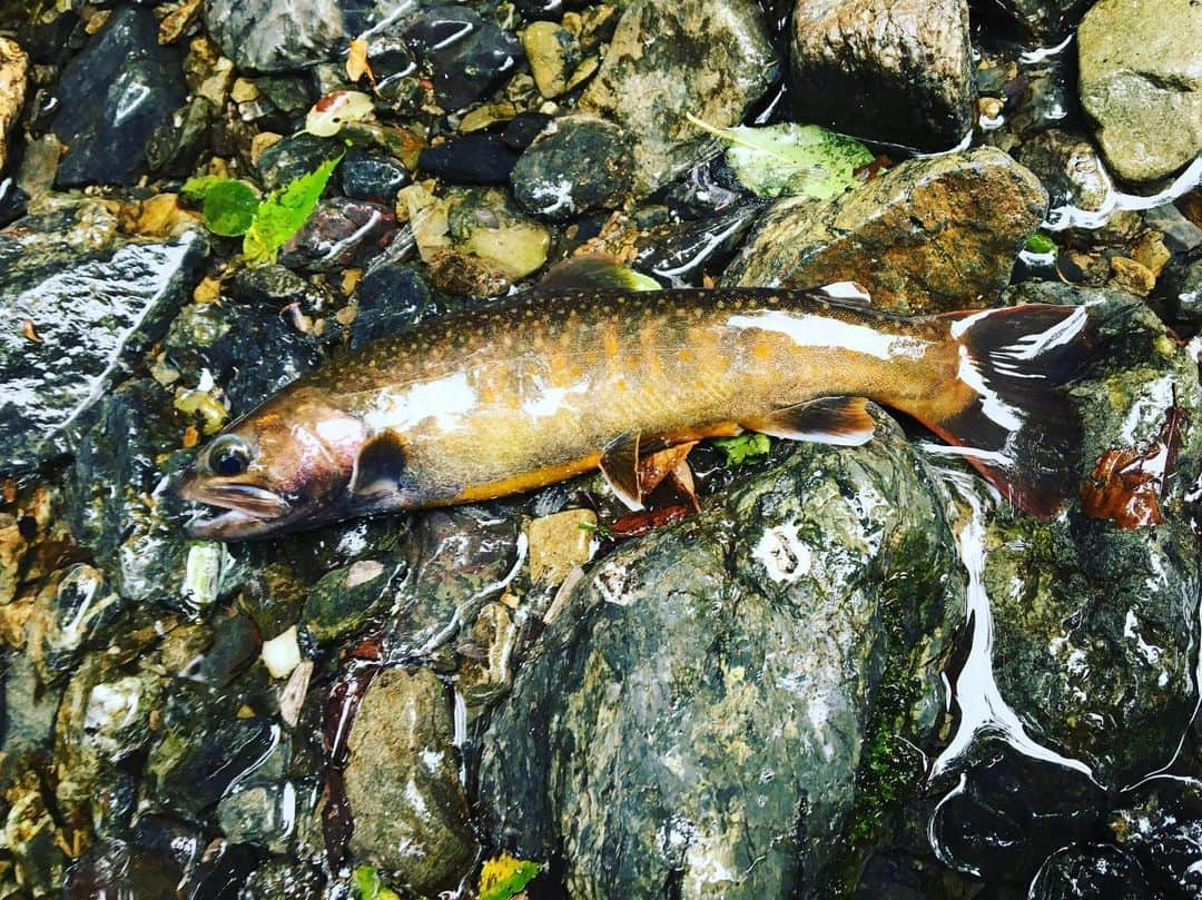 長島涼平のインスタグラム