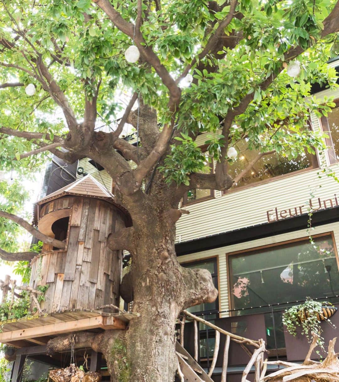オズモール編集部さんのインスタグラム写真 - (オズモール編集部Instagram)「【花や緑に囲まれて🌿東京都内でおすすめのフラワーカフェ vol.5】 ㅤㅤㅤㅤㅤㅤㅤㅤㅤㅤㅤㅤㅤ 緑にあふれたツリーハウスがかわいらしいカフェ「Les　Grands Arbres」と、季節の花はもちろん、珍しい花も発見できるフラワーショップ「Fleur Universelle」は、広尾の駅近くに佇むフラワーカフェ🌼 ㅤㅤㅤㅤㅤㅤㅤㅤㅤㅤㅤㅤㅤ 木の温もりに包まれたカフェの窓からは、遊び心満点のツリーハウスが望めます🌳 ㅤㅤㅤㅤㅤㅤㅤㅤㅤㅤㅤㅤㅤ 天気がよい日には、心地よい風に癒されながら、のんびりとテラス席で過ごすのもおすすめです☀️ ㅤㅤㅤㅤㅤㅤㅤㅤㅤㅤㅤㅤㅤ 野菜をたっぷりとれる人気のプレートセットは、美肌に役立つビタミンが豊富で、ヘルシー志向の方にピッタリ🥕 ㅤㅤㅤㅤㅤㅤㅤㅤㅤㅤㅤㅤㅤ また、フランスの田舎をイメージしたフラワーショップには、カラフルな花々やスワッグ、1点ものの花などが並んでいます✨ ㅤㅤㅤㅤㅤㅤㅤㅤㅤㅤㅤㅤㅤ カフェでのんびり過ごしている間にフラワーアレンジメントをしてくれところも、嬉しいポイント💐 ㅤㅤㅤㅤㅤㅤㅤㅤㅤㅤㅤㅤㅤ 田舎に足を運んだような心安らぐ空間で、ヘルシーメニューを堪能してみては？ ㅤㅤㅤㅤㅤㅤㅤㅤㅤㅤㅤㅤㅤ 「Les Grands Arbres×Fleur Universelle」紹介ページはこちら📝 https://www.ozmall.co.jp/cafe/article/18312/ ㅤㅤㅤㅤㅤㅤㅤㅤㅤㅤㅤㅤㅤ @ozmall_editors  #オズモール #オズマガジン #東京女子部 #フラワーカフェ #花のある暮らし#レグランザルブル #広尾カフェ#花好き#東京カフェ #テラス席#フルールユニヴェセール #カフェ巡り #カフェ活 #カフェ好き #花好き #カフェ部 #花好きな人と繋がりたい #カフェ好きな人と繋がりたい」5月31日 12時51分 - ozmall_editors