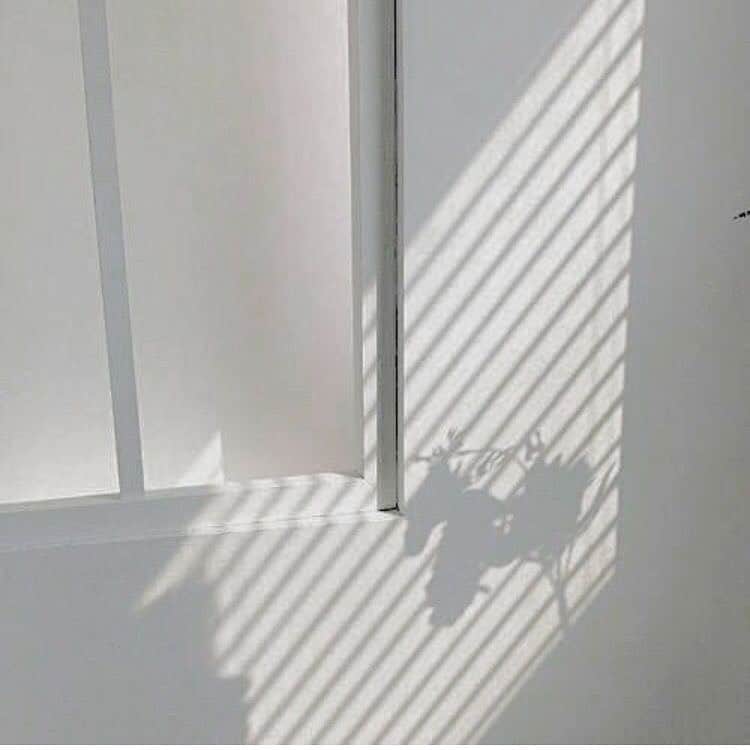 のインスタグラム：「. –––––––––––––––––––––––––––– . image🐄🌿 . –––––––––––––––––––––––––––– . . #crea_arisa 大人気のおススメカラー🌿 #ミルクたっぷりカラー🥛 . 色素薄い外国人のような 赤味のないカラーなら お任せください👩🏼💐 . . #色素薄い系 #シアカラー  #透明感  #ベージュカラー #クリーミーベージュ」