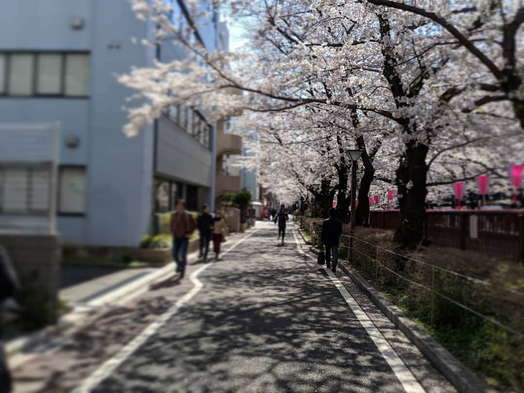 川原克己 のインスタグラム