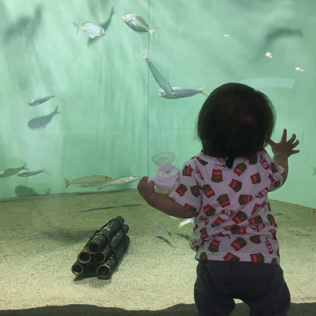 ナカヤマユキコさんのインスタグラム写真 - (ナカヤマユキコInstagram)「先日、暑い日が続いたので 少しでも涼しい気分になりたくて水族館へ🐠 . . 息子は麦茶片手に優雅にお魚さんを眺めておりました。笑 . 久しぶりに行くと大人でも楽しいね🐡 フグが可愛すぎて癒された〜♡ . . . . . #水族館 #1歳2ヶ月」5月31日 15時31分 - iam_uk