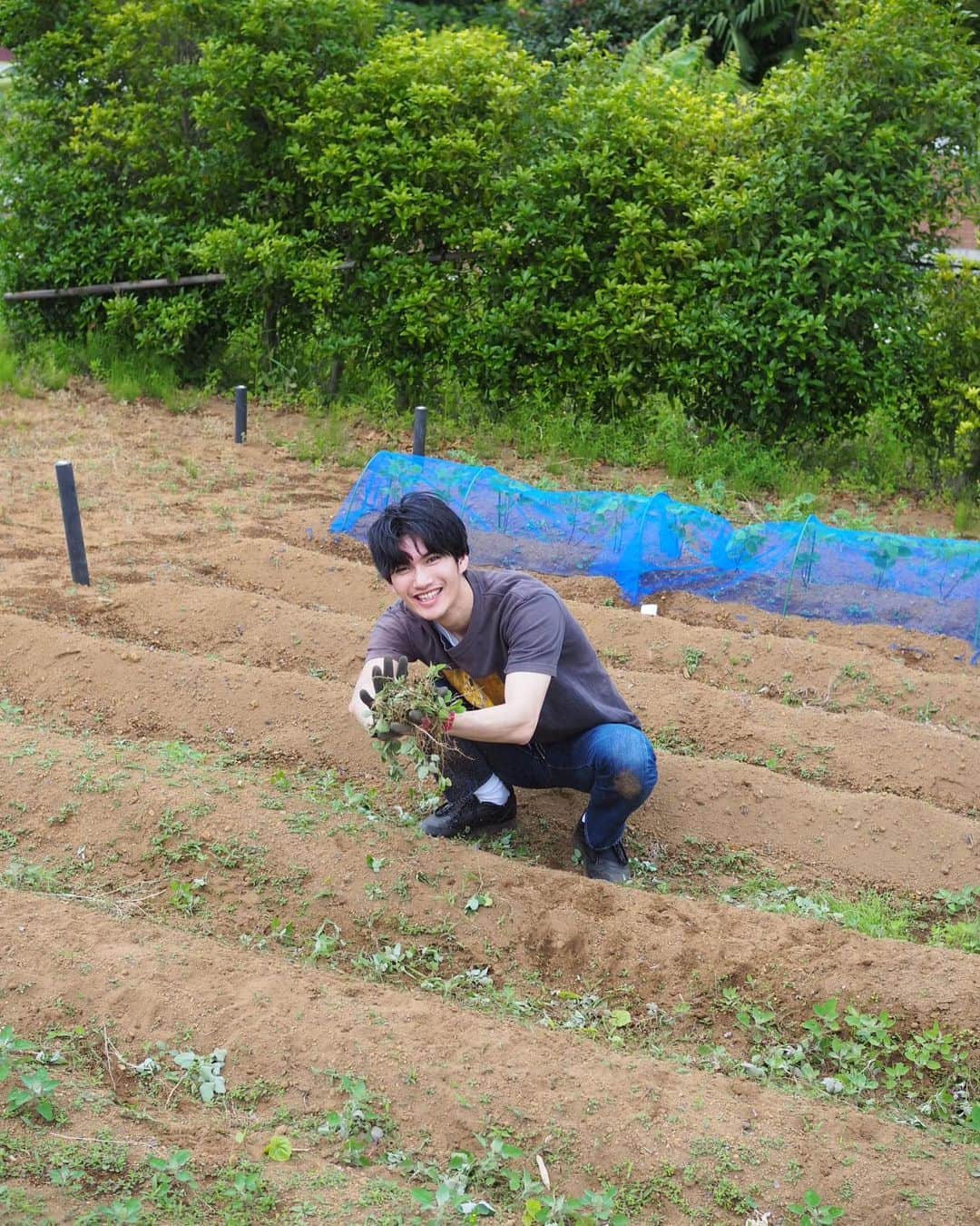 Shogoさんのインスタグラム写真 - (ShogoInstagram)「今日は、ホワイトコーン、ラディッシュ 、大根、万願寺とうがらし、三豊なす、ヤングコーンを植えました。  山ちゃんは野沢菜を体で表現してくれました。  チャンスゾーン、すくすく育ってます🌞  #パクチーチャンス #velbed農園」5月31日 15時32分 - shogo_velbed