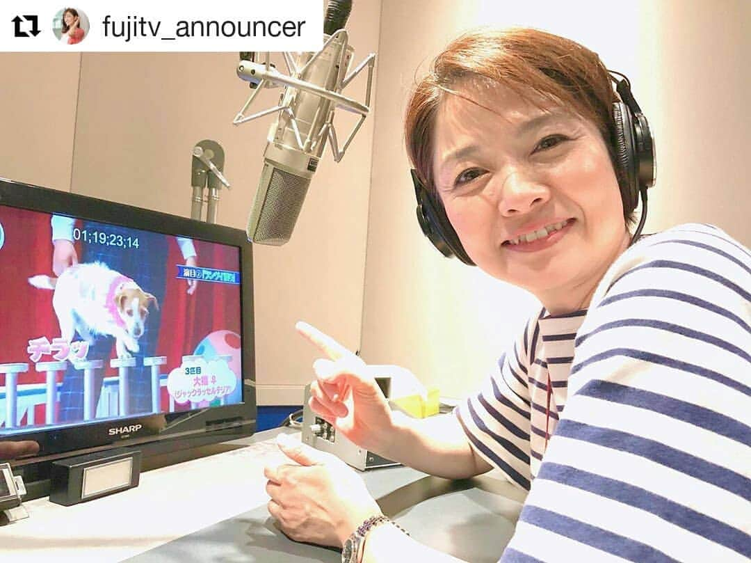 岡山放送さんのインスタグラム写真 - (岡山放送Instagram)「#Repost @fujitv_announcer (@get_repost) ・・・ ドッキリGPの録音で、大爆笑のわんこに出会ってしまいました。 詳しくは、今週の土曜日の放送で。  #芸能人が本気で考えたドッキリgp  #6月1日19時から！  #フジテレビアナウンサー #西山喜久恵  #FNS #FNS系列 #OHK #岡山放送 #8ch」5月31日 15時42分 - ohk_official