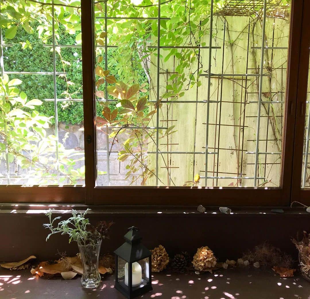 cafezakkagallery-flagのグルメインスタ