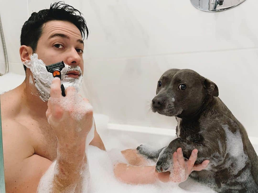 DARREN&PHILLIPさんのインスタグラム写真 - (DARREN&PHILLIPInstagram)「I’m not needy I just whine continually when ur in de bath tub and yeah sure like OCCASIONALLY I might jump in for a pet but like u know I’m still pretty casual. #personalspaceinvadingsince2011 #actnormal #ihaztobenearyou」5月31日 16時31分 - the_blueboys