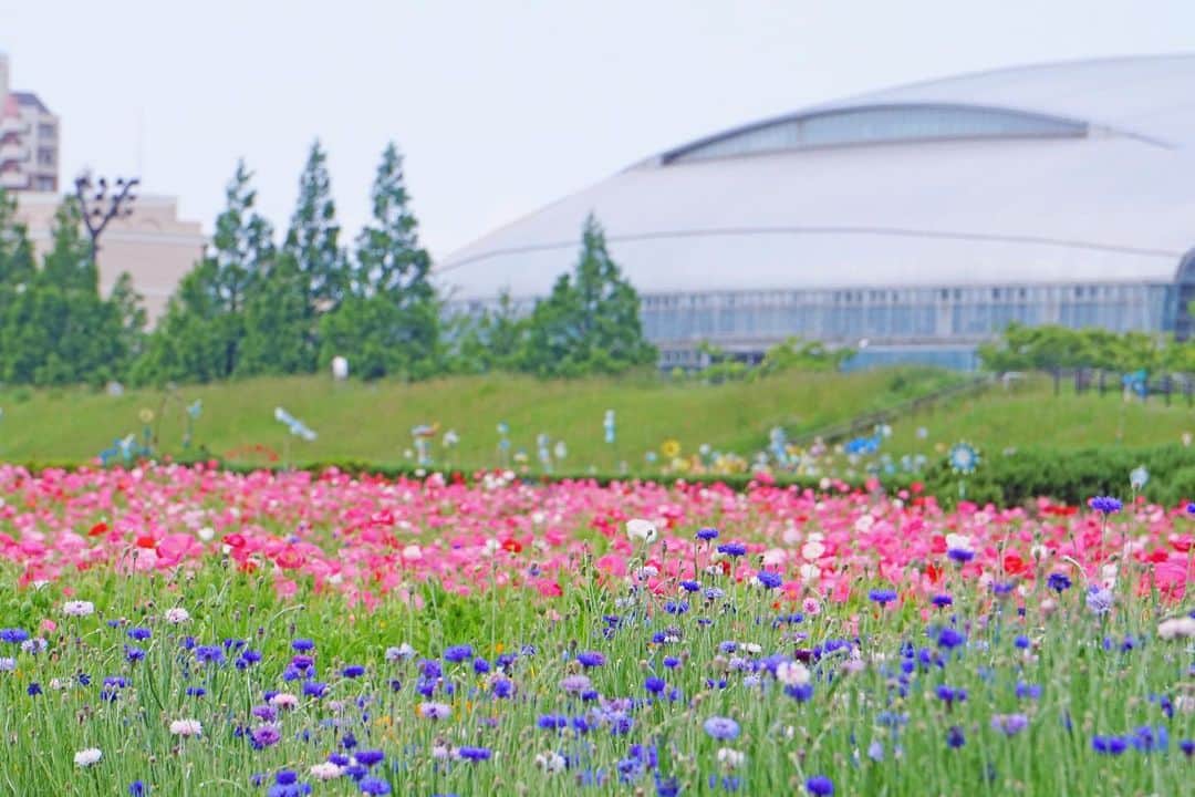 平塚市のインスタグラム