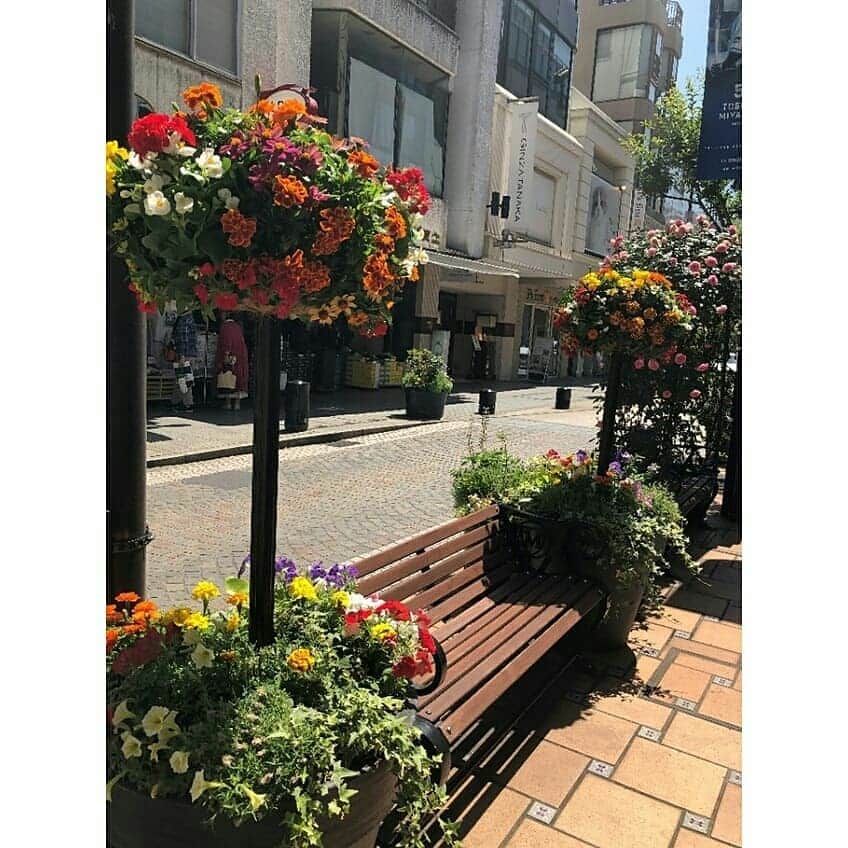 東京カメラ部 横浜分室さんのインスタグラム写真 - (東京カメラ部 横浜分室Instagram)「「元町ショッピングストリート」 . 元町ショッピングストリートに設置されているベンチ。肘掛けのMマークのロゴがなんともオシャレな人気のベンチです。今は期間限定でバラのアーチがかかっています。 そして、明日6/1（土）～6月9日(日)まで『花と器のハーモニー in Motomachi』が開催されます。 優しい花々で彩れる元町ショッピングストリートを楽しんでみてはいかがでしょうか。 . みなとみらい線公式Facebook「わたしの横浜4.1キロさんぽ」で横浜の魅力を発信中！ そちらも是非ご覧下さい！<PR> . #みなとみらい線フォト散歩 #みなとみらい線フォトさんぽ #みなとみらい線 #横浜 #新高島 #みなとみらい #馬車道 #日本大通り #元町中華街 #yokohama #東京カメラ部 #Japan #photo #写真 #日本 #横浜カメラ部 #神奈川カメラ部 #kanagawaphotoclub #写真好きな人と繋がりたい #カメラ好きな人と繋がりたい #元町ショッピングストリート #バラ #花 #花と器のハーモニー #イベント情報 #flower #motomachi #花好きな人と繋がりたい #roseday #rose」5月31日 17時00分 - tcc.yokohama