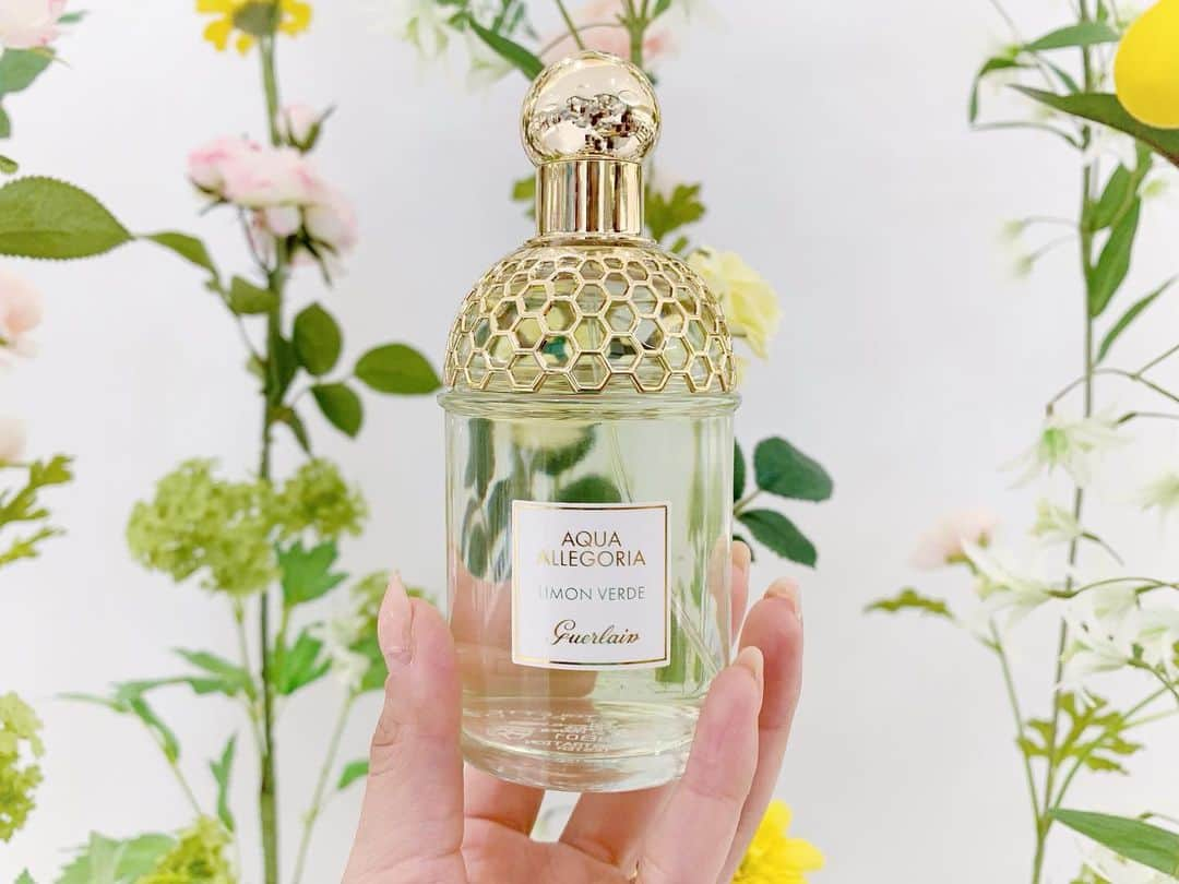 リナさんのインスタグラム写真 - (リナInstagram)「今年の夏で発売から20周年となる、 GUERLAIN AQUA ALLEGORIA から 新しい2種の香りが新登場します🌼 @guerlainjp ....................................................... ✔️アクア アレゴリア ジンジャー ピカンテ  オーデトワレ 75ml 8,900円（税抜） ✔️アクア アレゴリア ココナッツ フィズ オーデトワレ 75ml 8,900円（税抜） 2019/6/1 新発売 ....................................................... #ジンジャーピカンテ は、ジンジャーのダイナミックでエネルギッシュな感覚に、 ジンジャーとローズの爽やかさと甘さで引き立てた、ピリッとして惹きつけてやまない#フレッシュシトラス の香り⭐️ . トップ:レモン、ペッパー、ベルガモット ハート:ジンジャー、ローズ ベース:ホワイトムスク、シダーウッド .................................... #ココナッツフィズ は、ヤシの木に囲まれたターコイズ色の海を眺めながら、 ココナッツジュースを味わう様な至福のひと時を描いた南国の空気を感じられる#フルーティシトラス の香り⭐️ . トップ：ベルガモット、ココナッツウォーター ハート:ウォーターフルーツ、ココナッツ、フリージアノート ベース:トンカビーン、サンダルウッド、ホワイトウッド ....................................................... 期間限定ポップアップショップもオープンするよ❗️ 開催期間:5/31（金）18:00〜6/16（日） 営業時間:11:00〜21:00 場所:東急プラザ銀座 4階2nd HINKA RINKA内 集英社 FLAG SHOP . 期間中にiPadのコンサルテーションを体験して、 ゲラン公式LINEアカウントとお友だちになった方に、 先着で#アクアアレゴリア サンプル3点セットプレゼント🎁 . また、アクア アレゴリア製品ご購入で、 ミニチュアサイズのアクア アレゴリア（7.5ml マンダリン バジリックの香り）をプレゼントしてもらえるよ😄 ....................................................... 私はiPadのコンサルテーションで、 LIMON VERDE を選んだよ☆ #トロピカルグリーンシトラス の香り🍋 ....................................................... #ゲラン #アクアアレゴリア #私の香り診断 #集英社FLAGSHOP #集英社フラッグショップ #東急プラザ銀座 #hinkarinka #ヒンカリンカ #ginza #GUERLAIN #香水 #デパコス #ジンジャー #ココナッツ #パリ #ベルガモット #ローズ #香りを楽しみたい #cosmetic #newcosme #ミクソロジー #ポップアップショップ #FLAGSHOP」5月31日 17時22分 - 1010koki0218